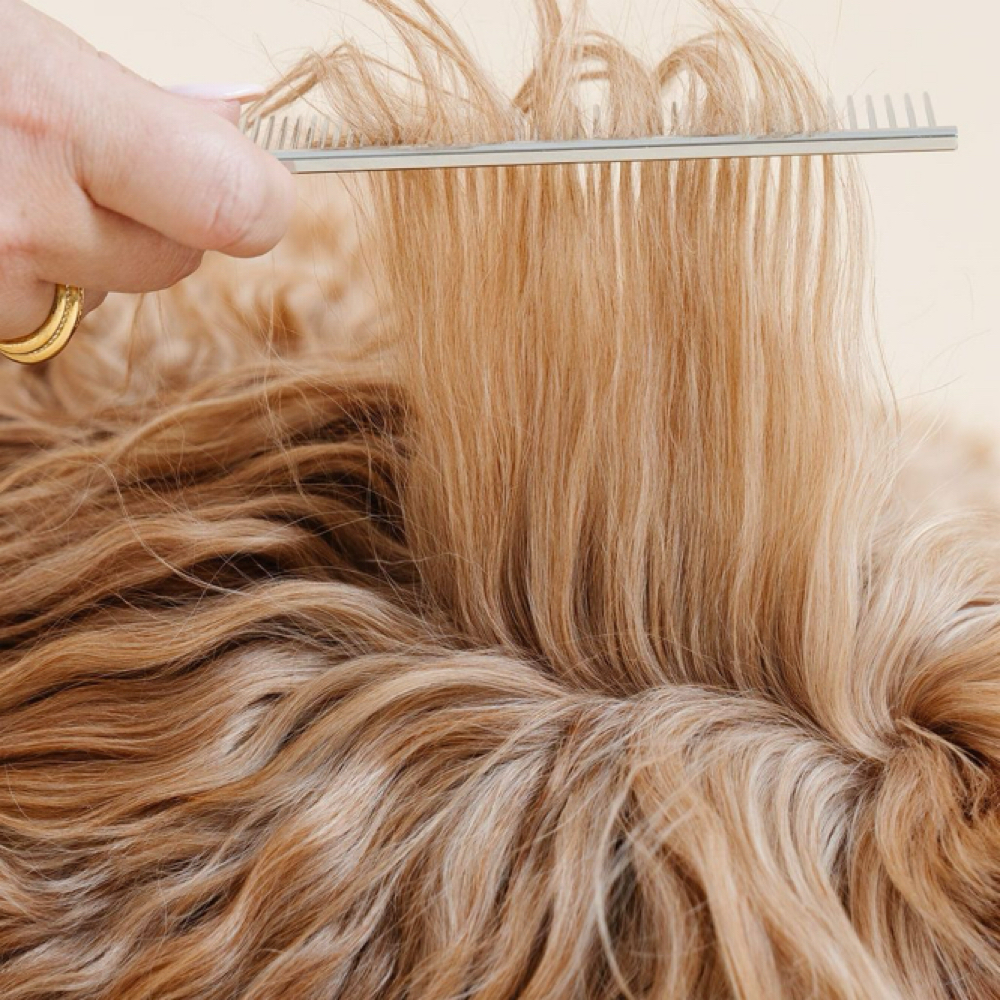 Dematting/detangle at The Shiny Puppy LLC in Royse City, TX