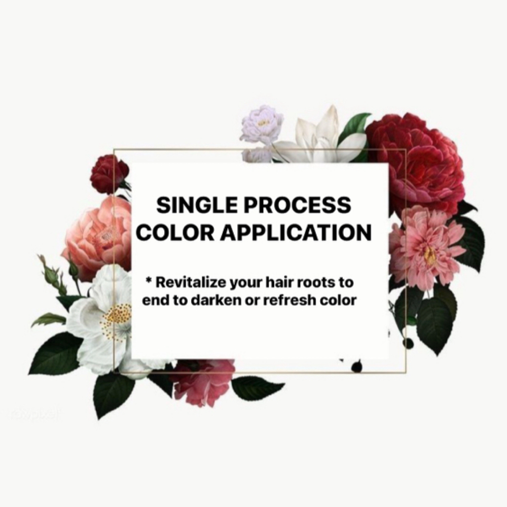 Single Process Color at Hair By Sarah Glass LLC in Littleton, CO