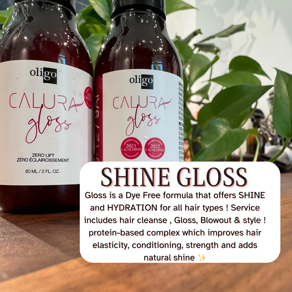 SHINE GLOSSY & REPAIR TREATMENT