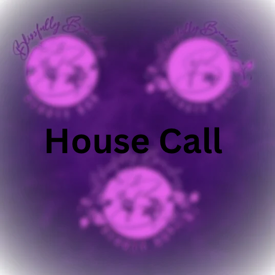 House Call at Blissfully Braiding Beauty Bar in Overland Park, KS