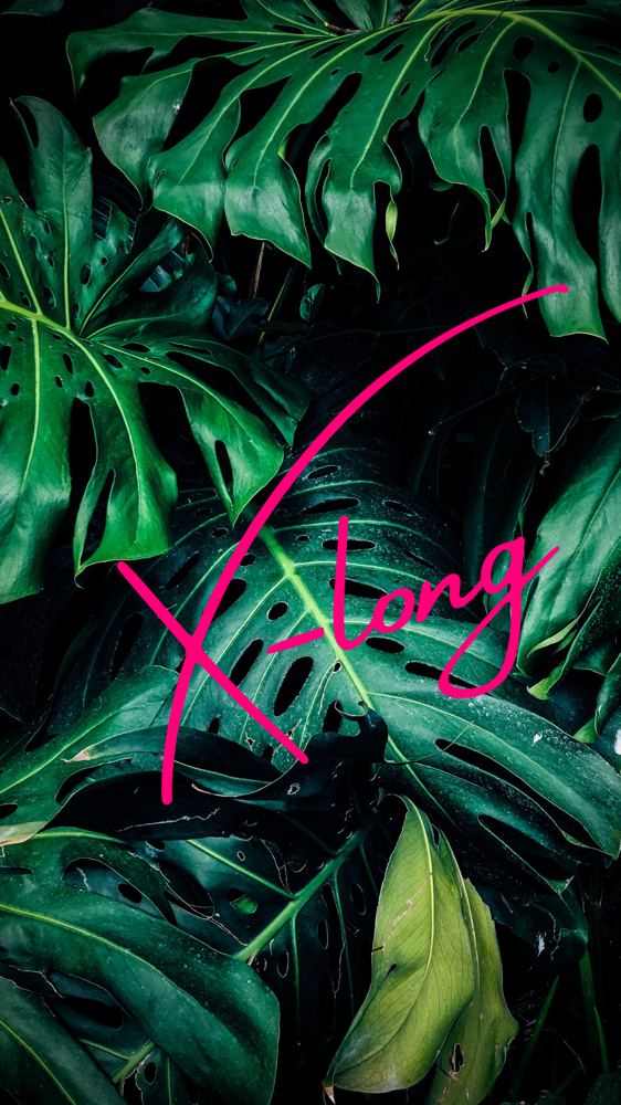 XL | Xtra Long Sets