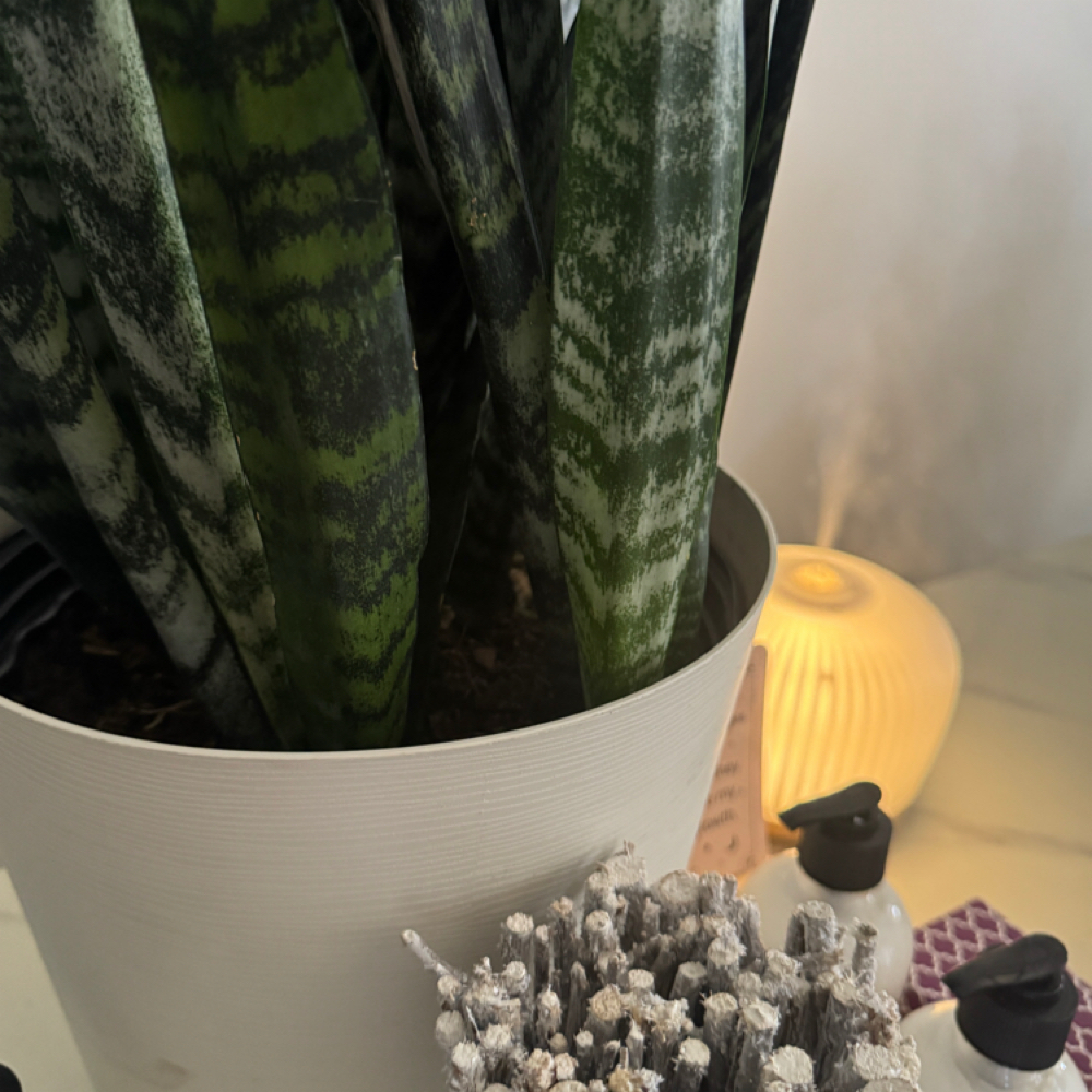 ZEHN QUIET LOUNGE™ at Zehn Hair Spa & Co in Slidell, LA