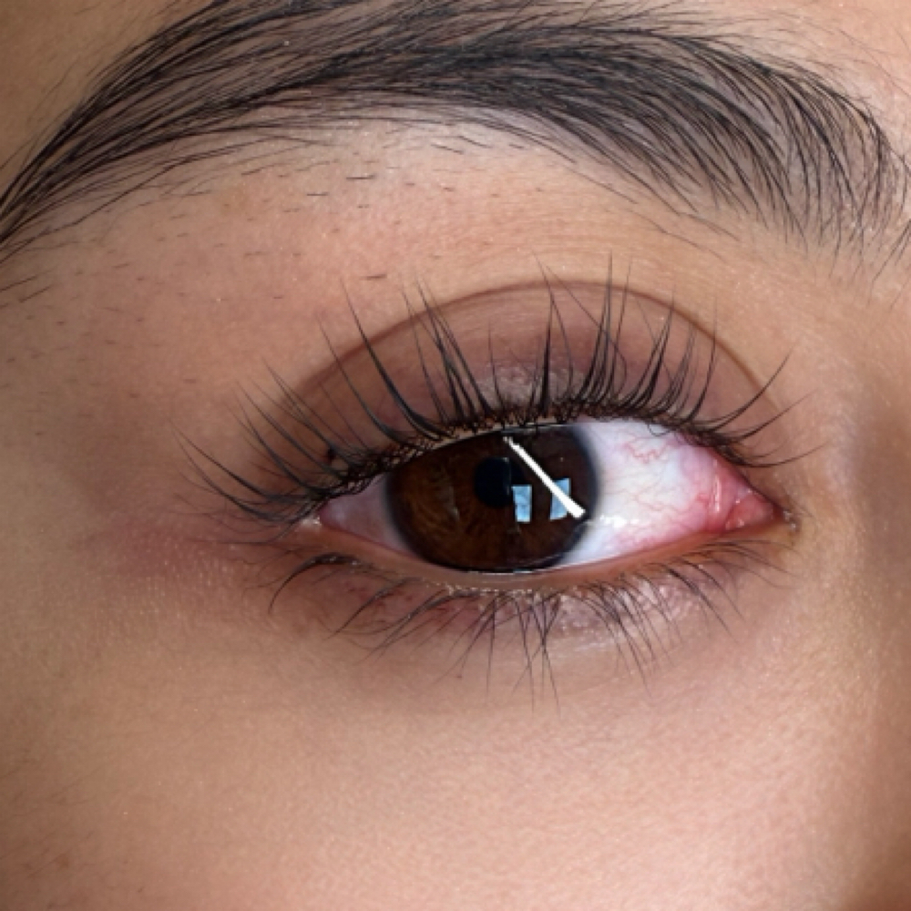 Lash Lift at Anointed Beauty Lash & Brow Sanctuary in Summerville, SC