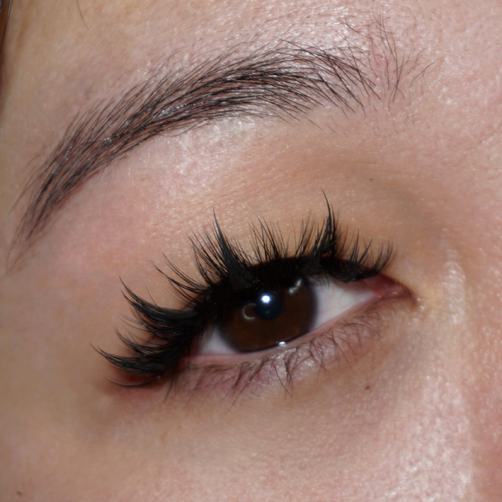 Manga / Anime Fill | 2 Weeks