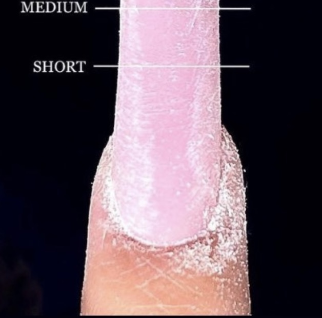 Medium W/ Design-size (3-4)