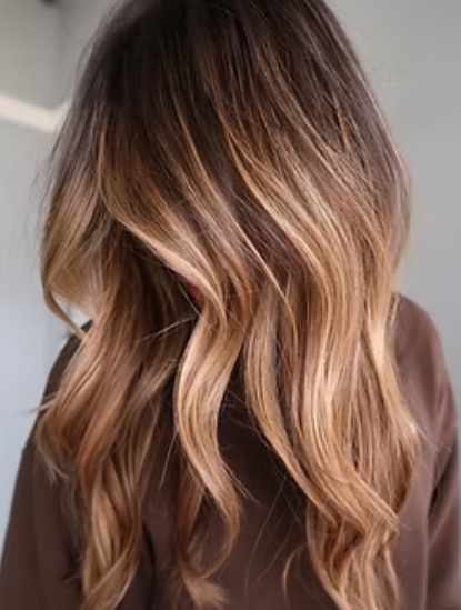 Dimensional Balayage & Haircut