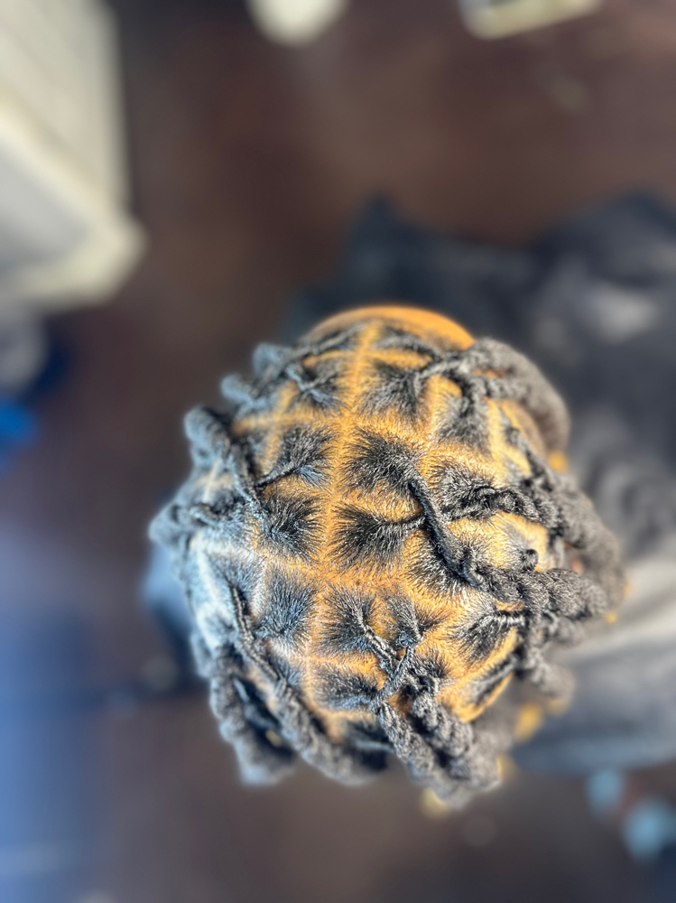 Wash, Retwist, And Style (Adults 18+)