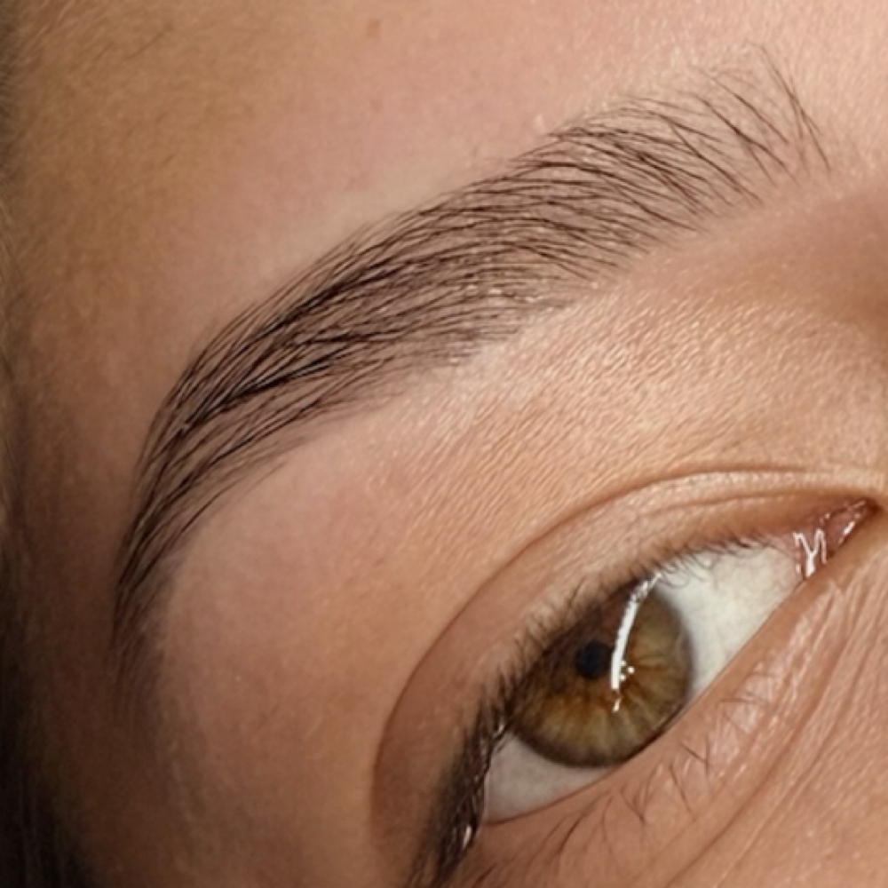 Brow Lamination & Wax at HAUS OF SKIN By Adriana in Tulare, CA