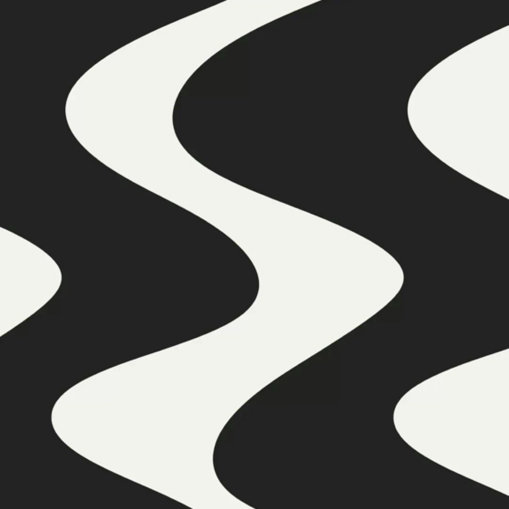 Consultation With Taylor at Shape My Curls Studio in Katy, TX