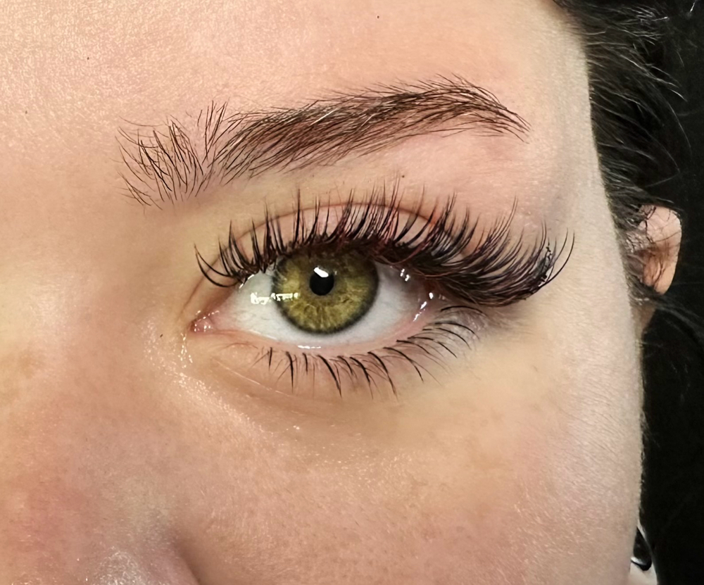 Bottom Lashes