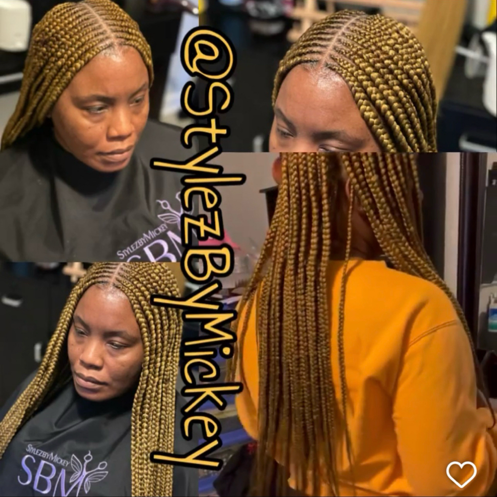 Fulani Braidz at StylezByMickey in Stonecrest, GA