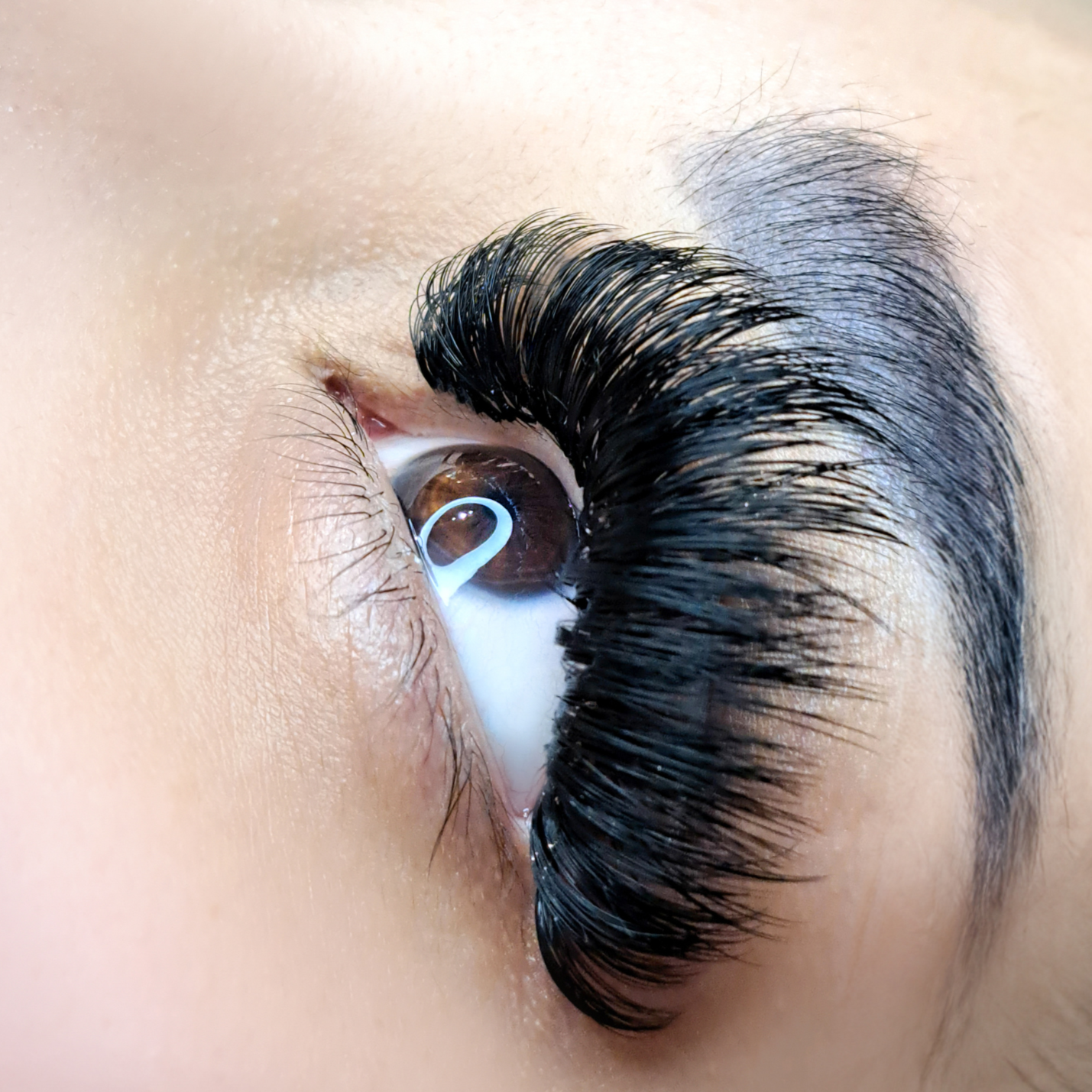 Lash Removal at LV Salon & Beauty Bar in Valdosta, GA