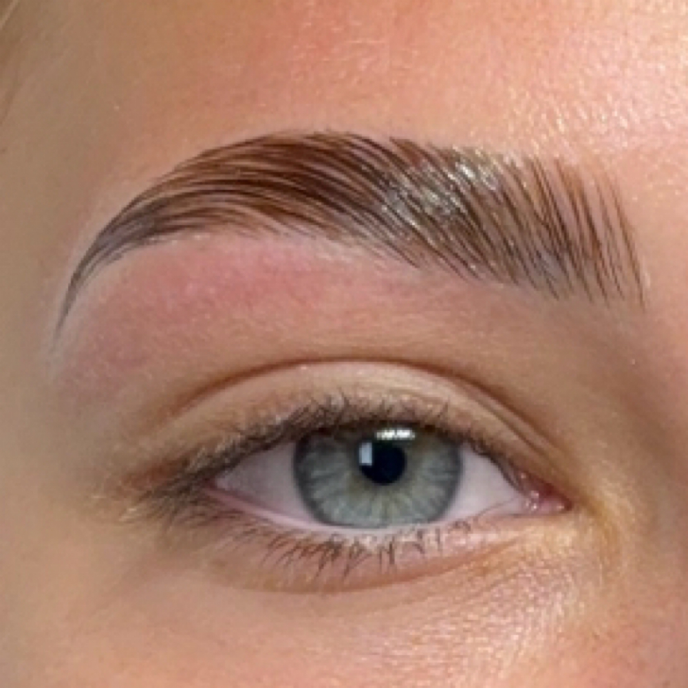 BROW LAMINATION (WAX INCLUDED) at Carizzma Beauty Bar in Billings, MT