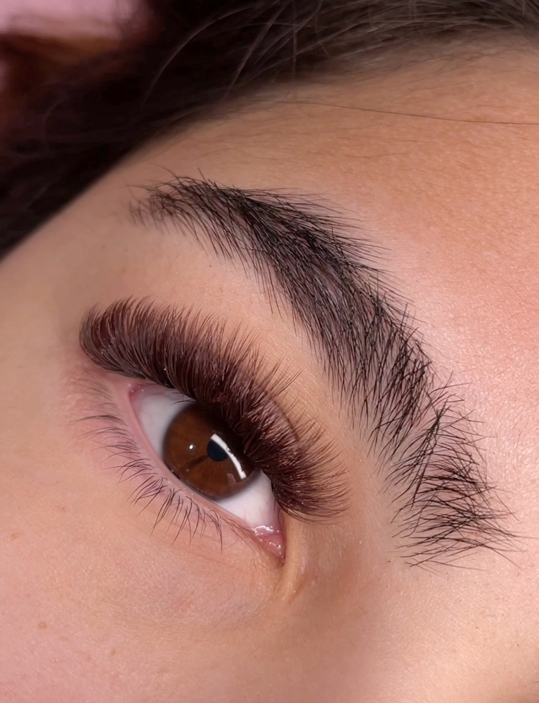 Brown Volume Full Set