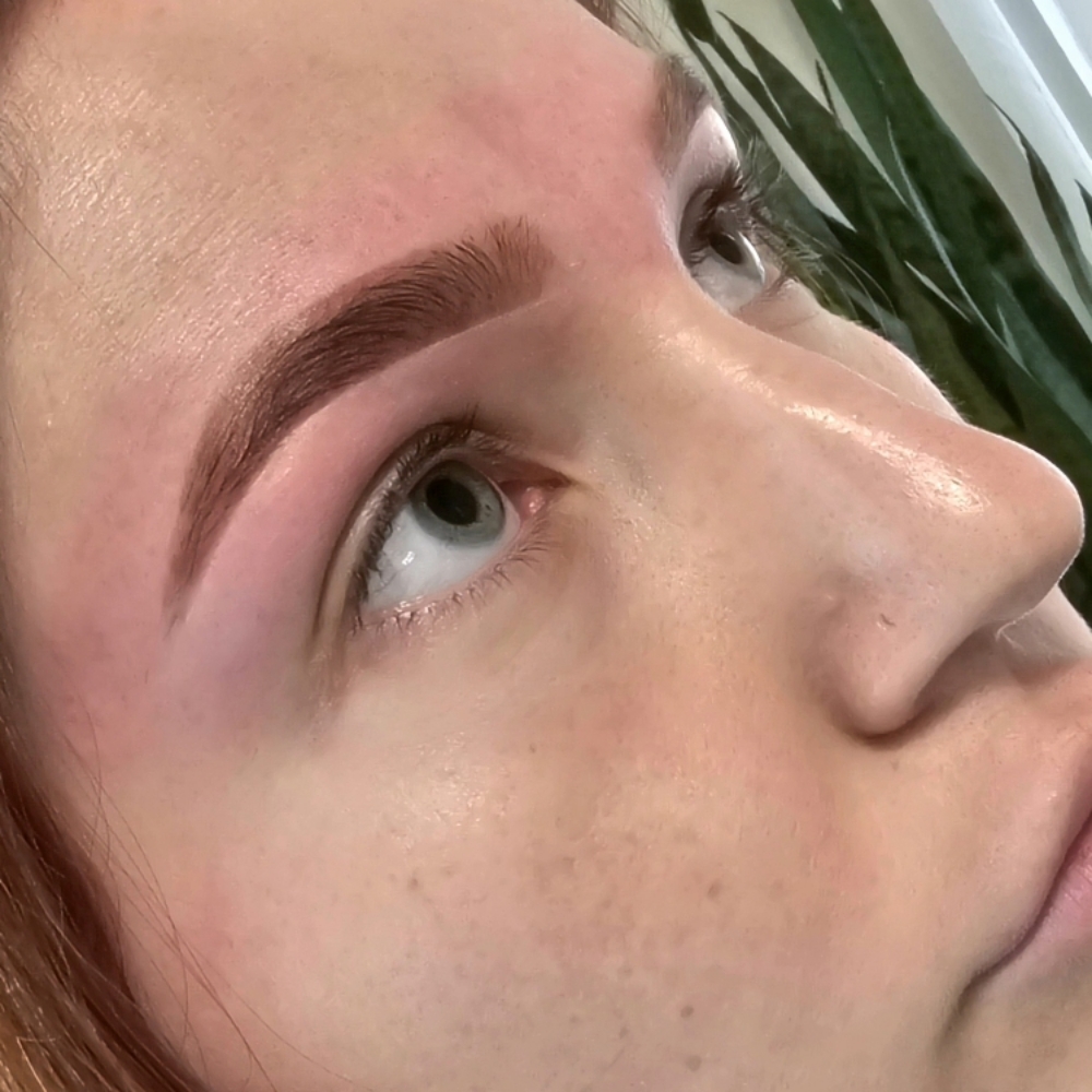 Signature Brow Wax & Tint Duo at The Arched Bay Texas in Conroe, TX