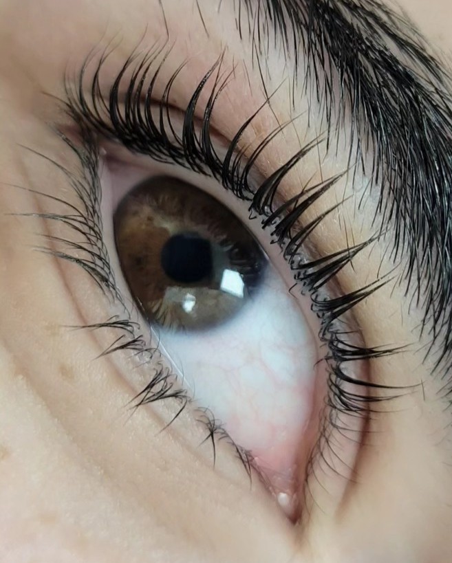 Lash Lift