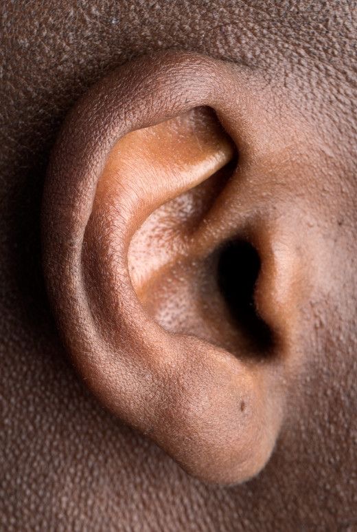 Ears