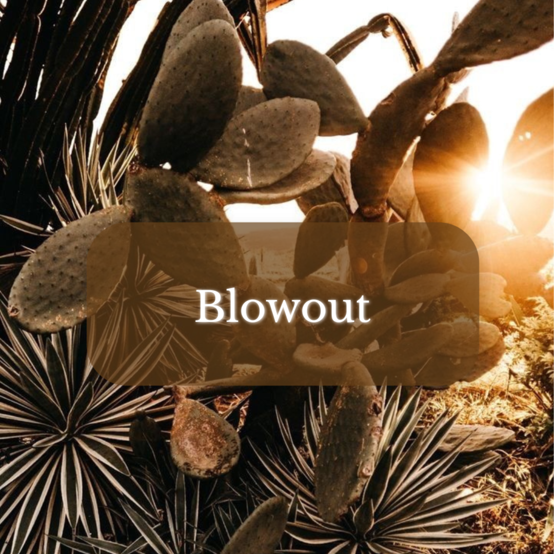 Blow Out at Magnolia on Main in Keene, NH