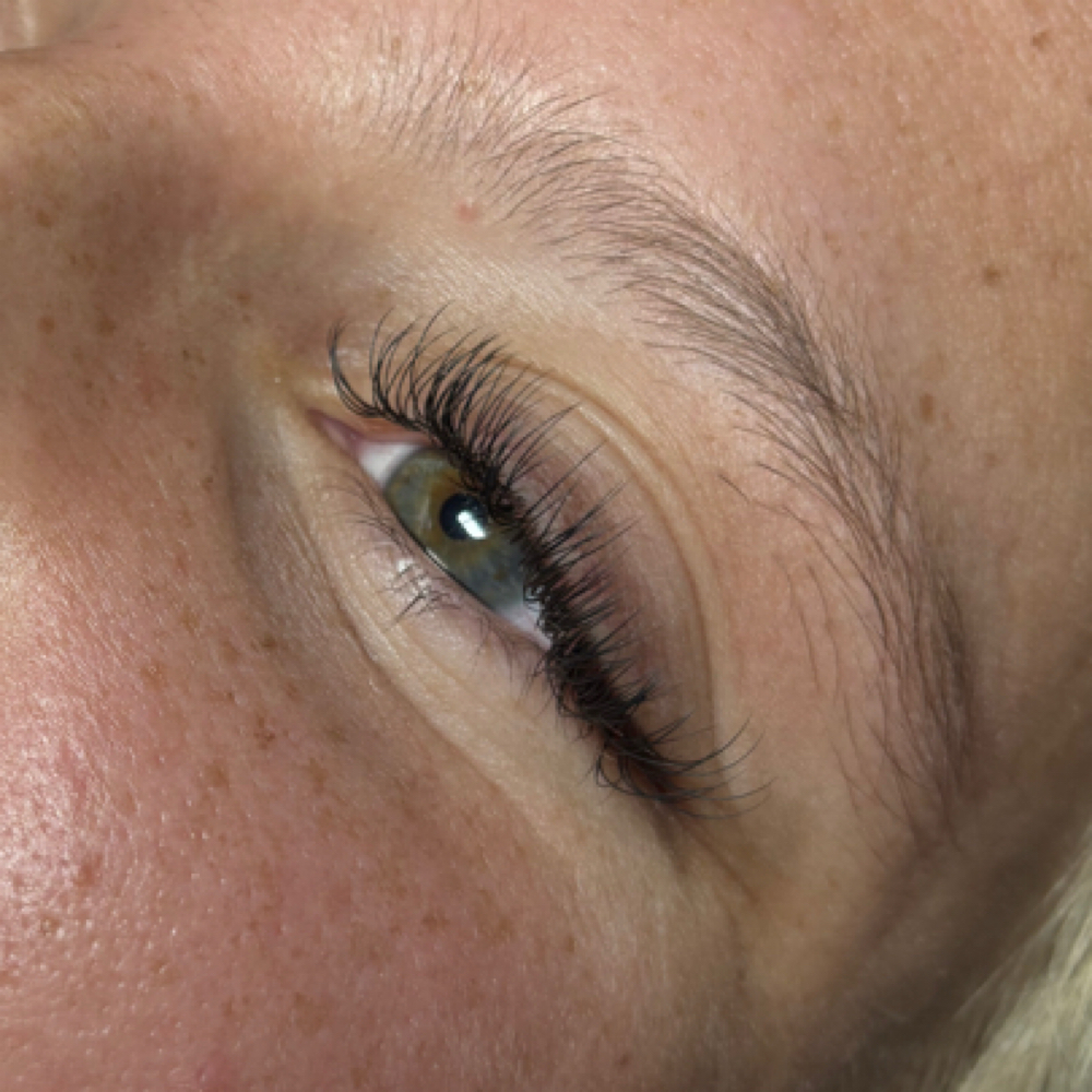 Classic Lash Fill at Ivy Jo Salon in Angola, IN