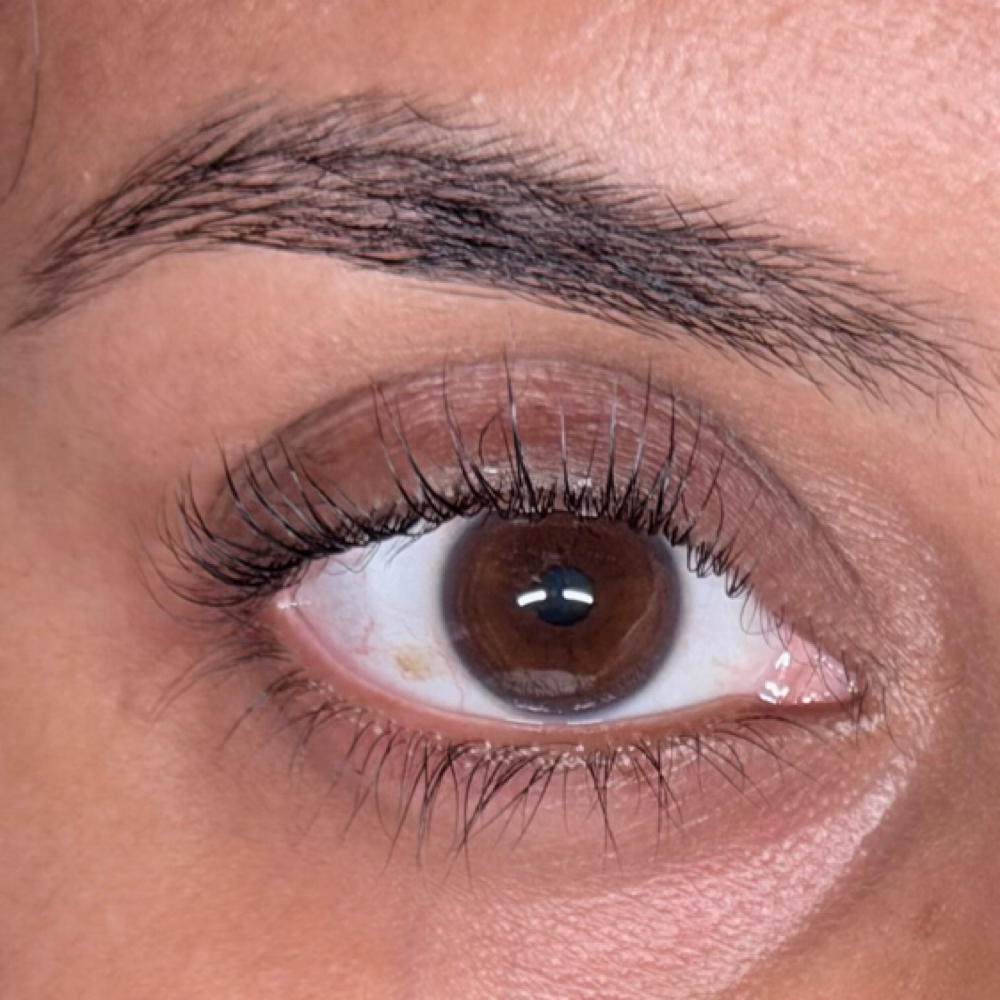 Lash Lift & Tint at Radiant K Beauty LLC in Flowermound, TX