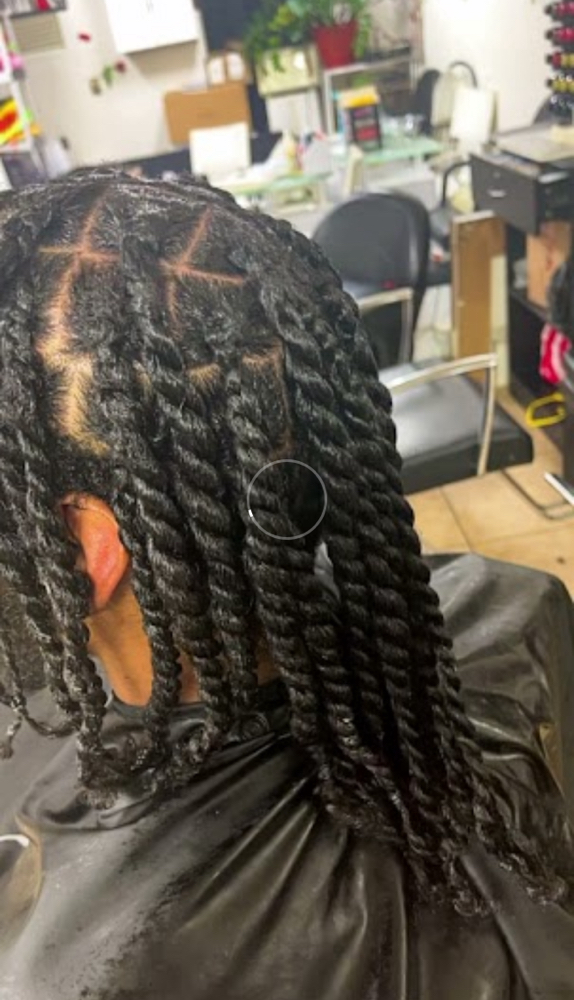 Two Strand Twist at Micah Rose in Bronx, NY