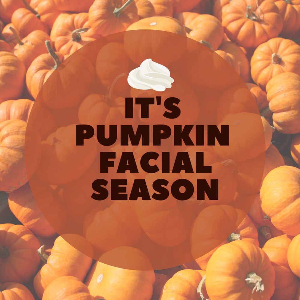 Pumpkin Whipped Dermaplane Facial at Southern Beauty Aesthetics in Marion, IL