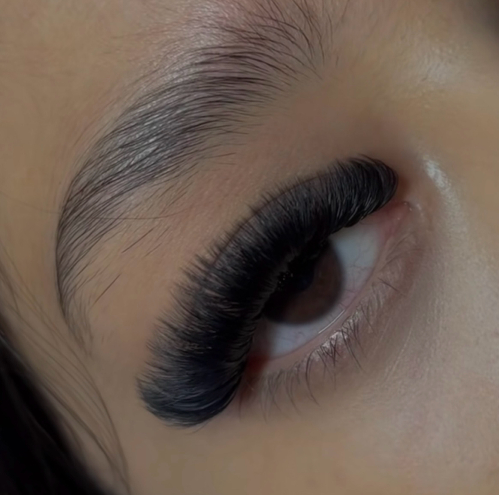 Mega Volume Lashes 50$