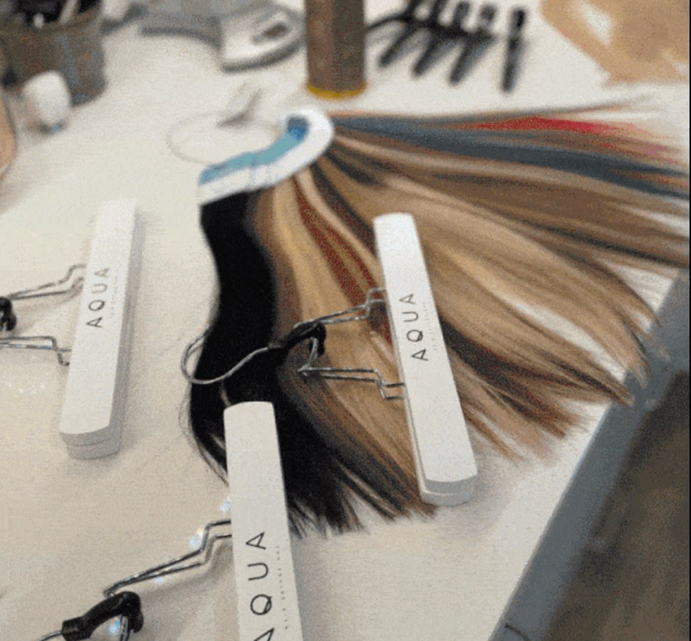 Hair Extension Color Match