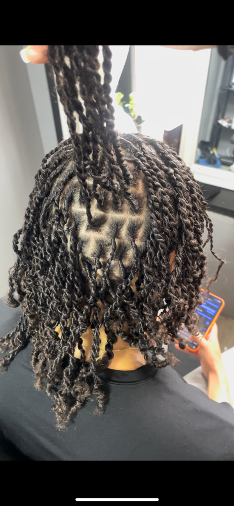 Starter Locs