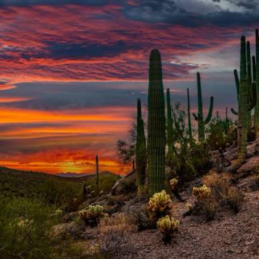 🩵🤍Desert🤍🩵Collection Facial