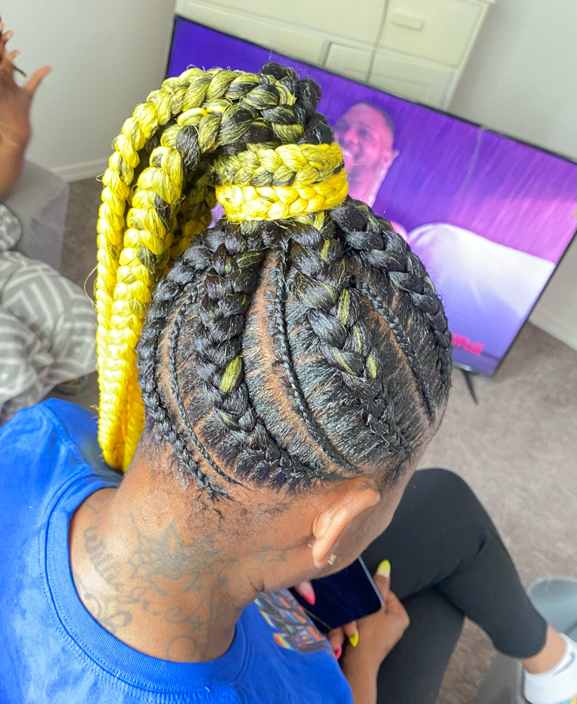 Large Braid Style (mid Back Length)