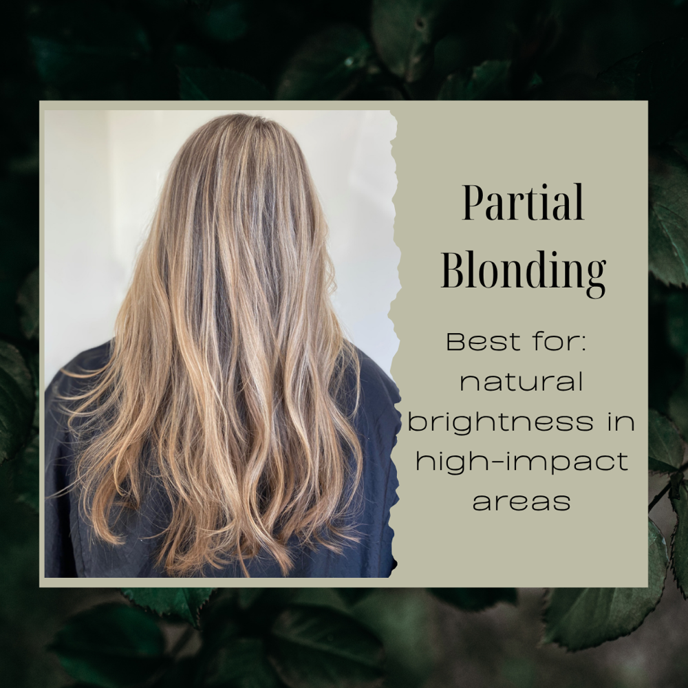 Partial Blonding Experience