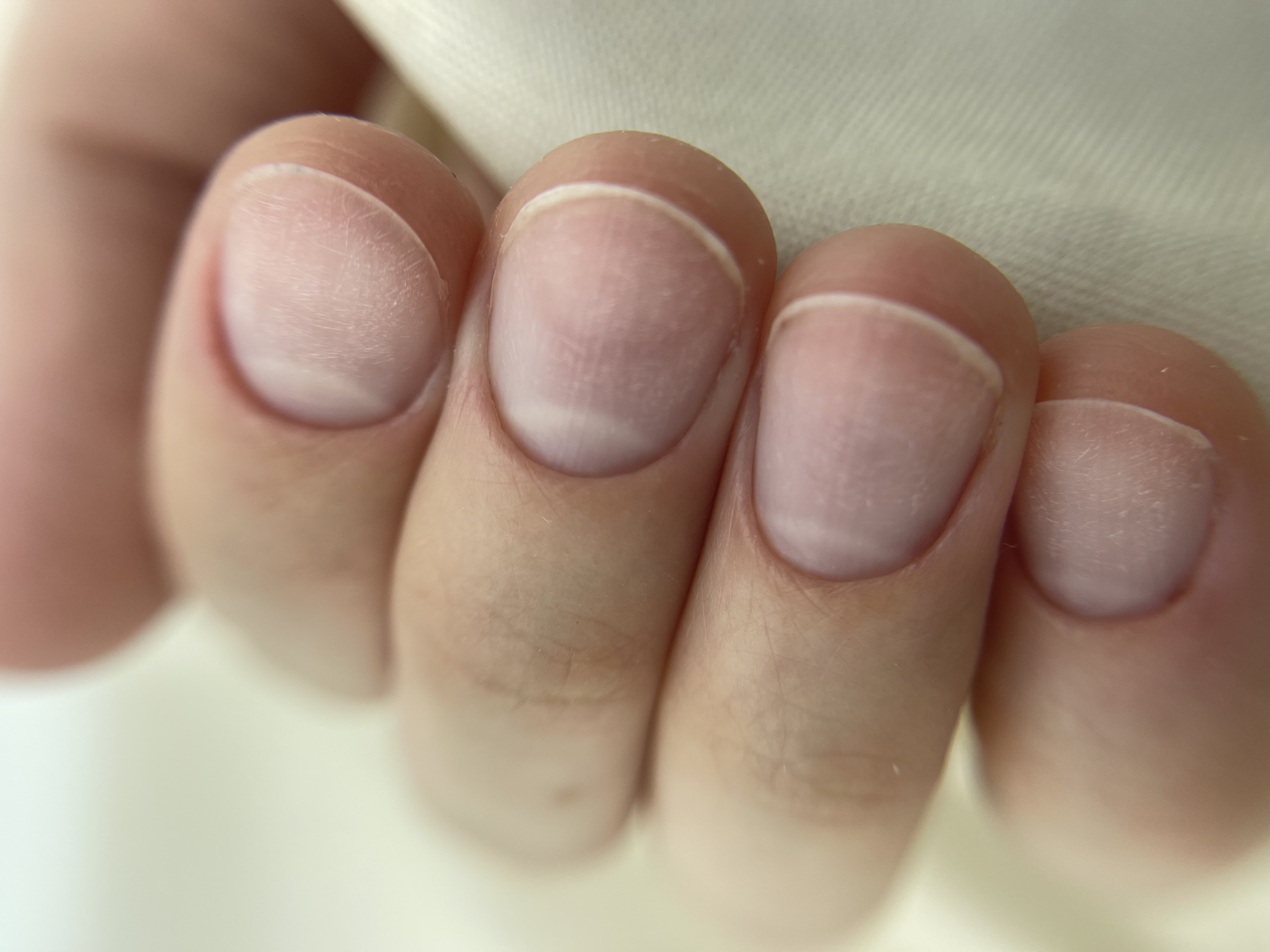 Regular manicure (no polish)