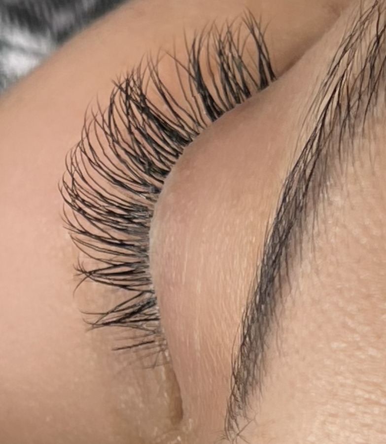 Classic Eyelash