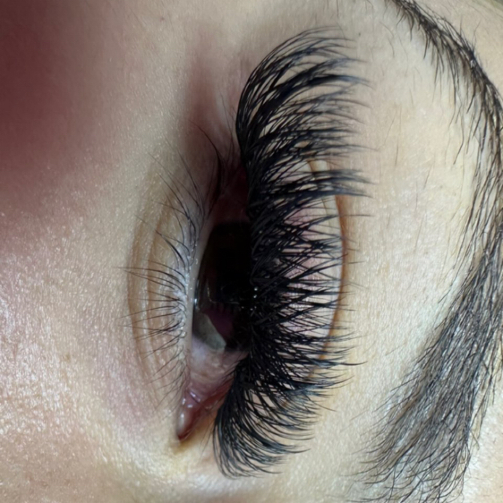 Hawaiian Volume at Pretty Lashes By Per in SPRINGFIELD, MO