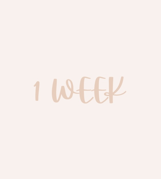 1 Week Fill