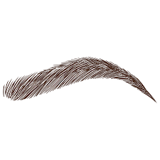 Brow Tint