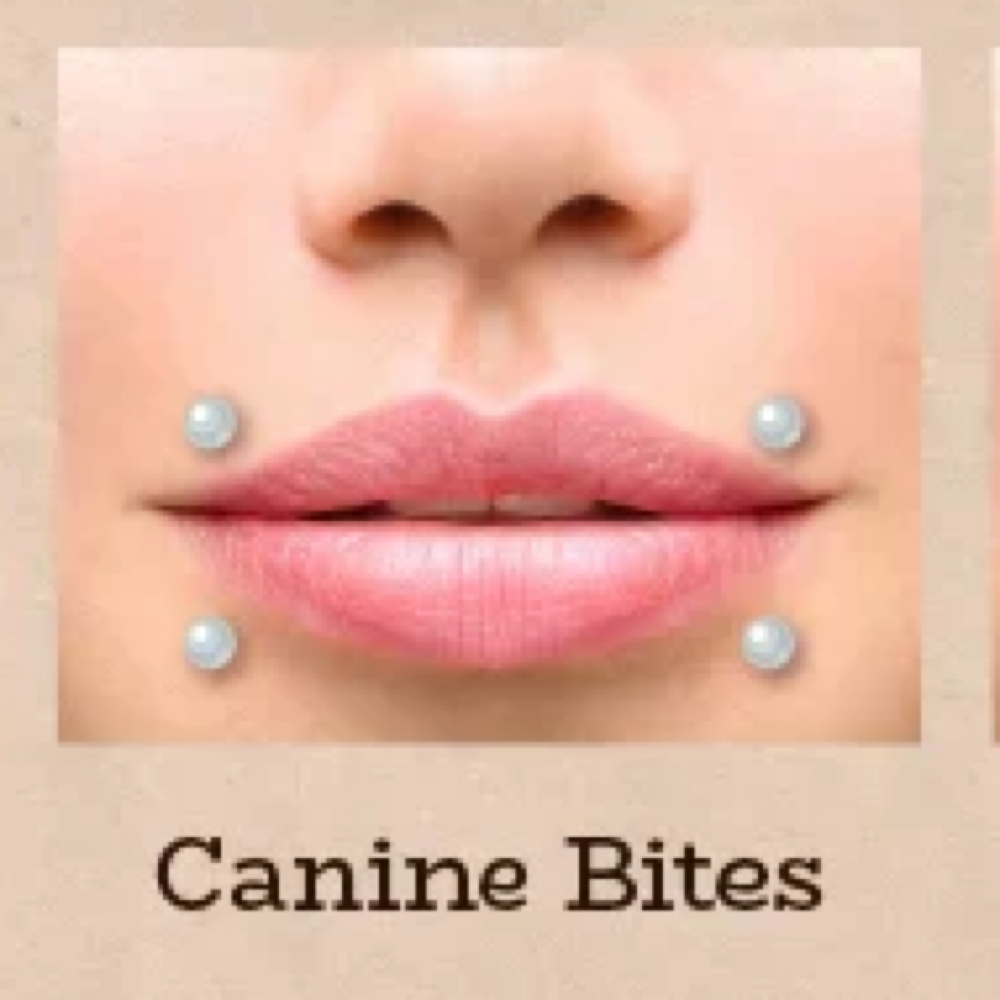 Canine Bites at Inner Demon 2.0 in Havelock, NC