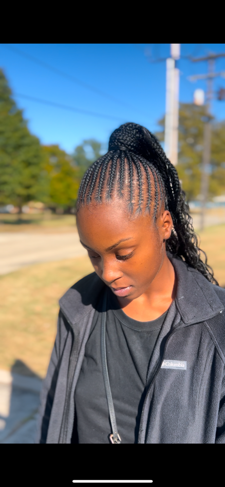Braided Ponytail