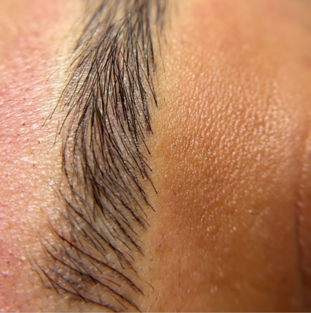 Micropigmentation at sofia dias in gloucester, MA