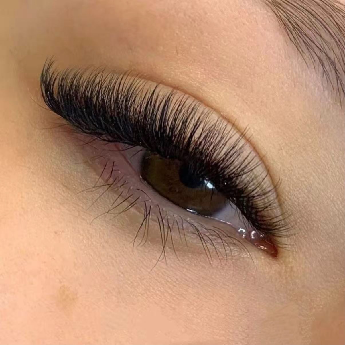 9D Mega Volume at Kivya lashes in Rancho Cucamonga, CA