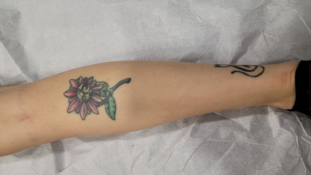 Half Leg Wax at Haus Of Purity in Flint, MI