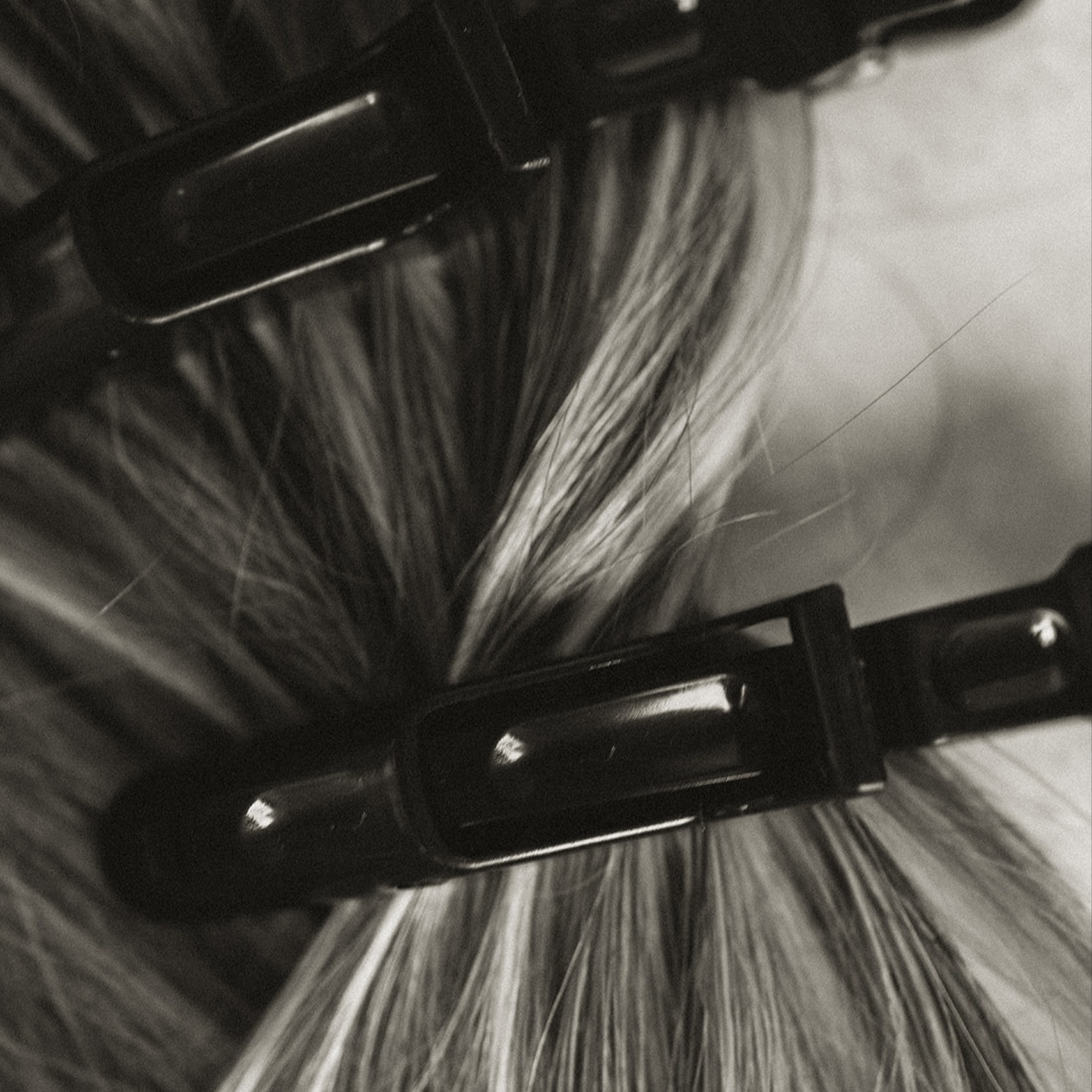 Regrowth + Ends Refresh