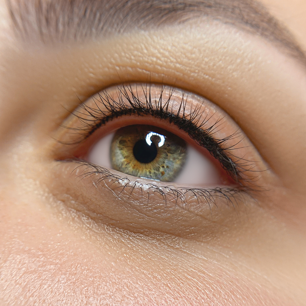 INTERCILIARY EYELINER