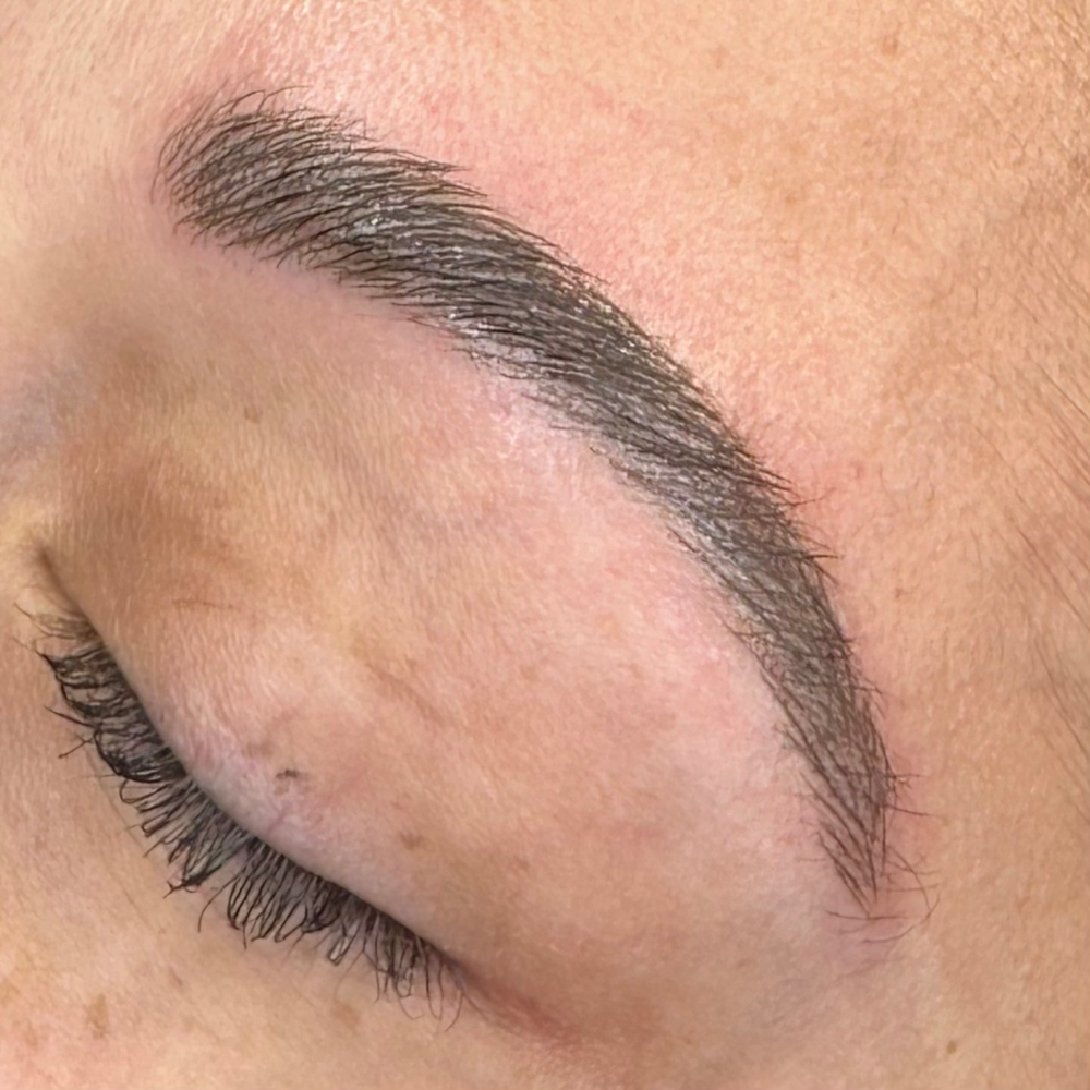 YEARLY BROW PMU MICROBLADE/ NANO at A Touch of Paris in New City, NY