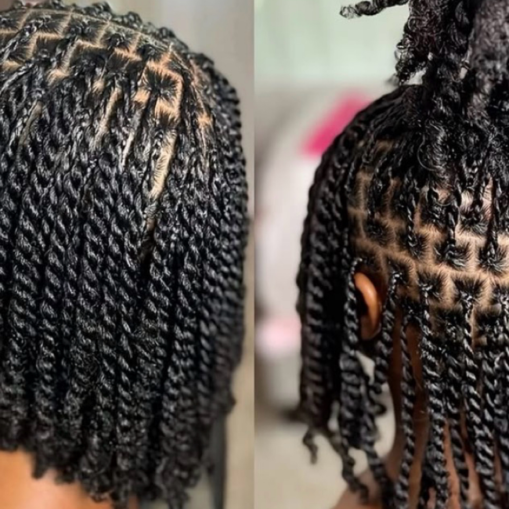 Mini Twists ( Natural Hair ) at Impeccable Beauty in Clarksville, TN