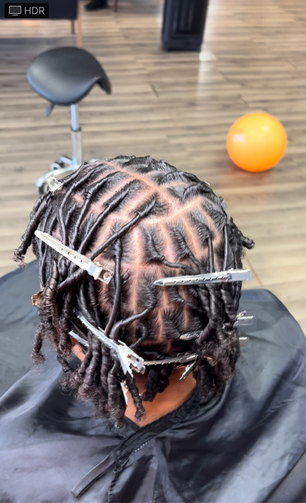 Starter Locs
