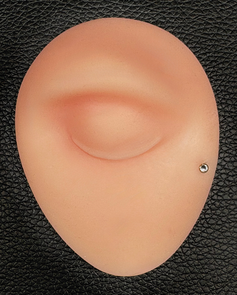 Dermal at Anthem Piercing & Tattoo in North Salt Lake, UT
