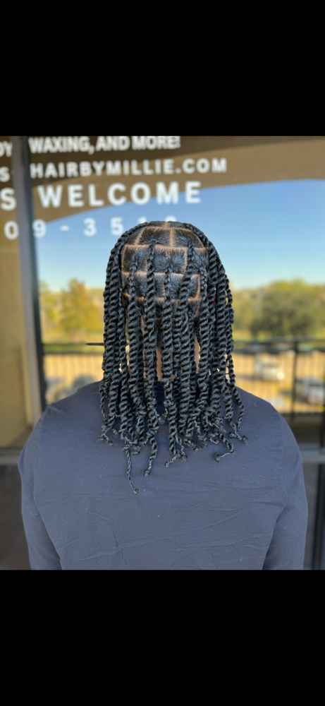 Large Springy 2 Strand Twists