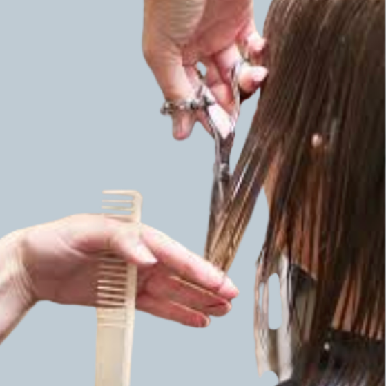 Hair Cut and Treatment Package at Africana Star Salon in Los Angeles, CA